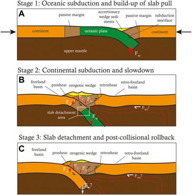 Quantifying continental collision dynamics for Alpine-style orogens